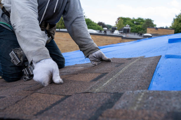 Best Metal Roofing Contractor  in Nanticoke, PA
